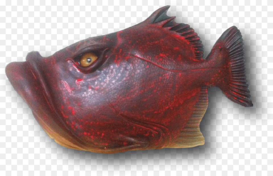 Fish With Attitude Sockeye Salmon, Animal, Sea Life, Maroon Free Transparent Png