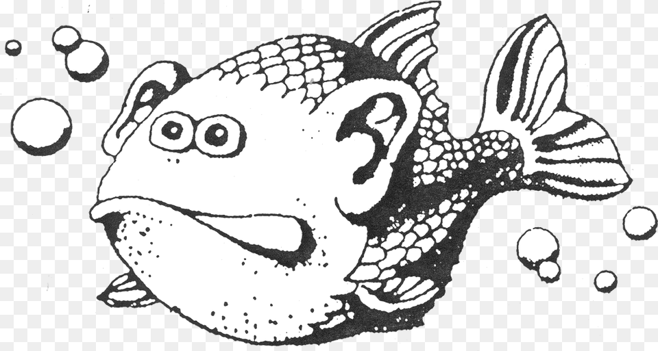 Fish With Ears Does Fish Have Ears, Aquatic, Art, Water, Animal Png