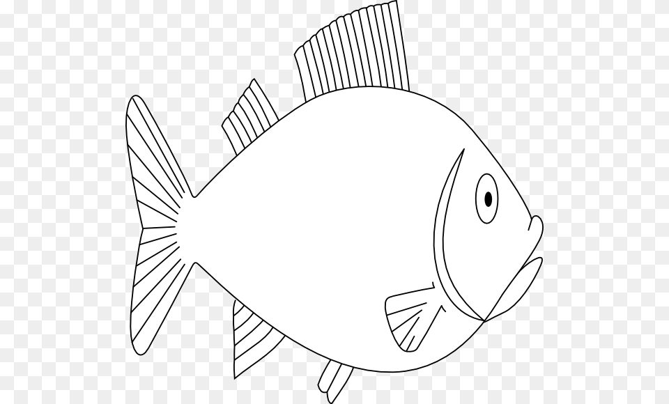 Fishanimalswimmingsea Lifeoutlinefree Vector Graphics Bangus Drawing Easy, Animal, Fish, Sea Life, Tuna Free Png Download