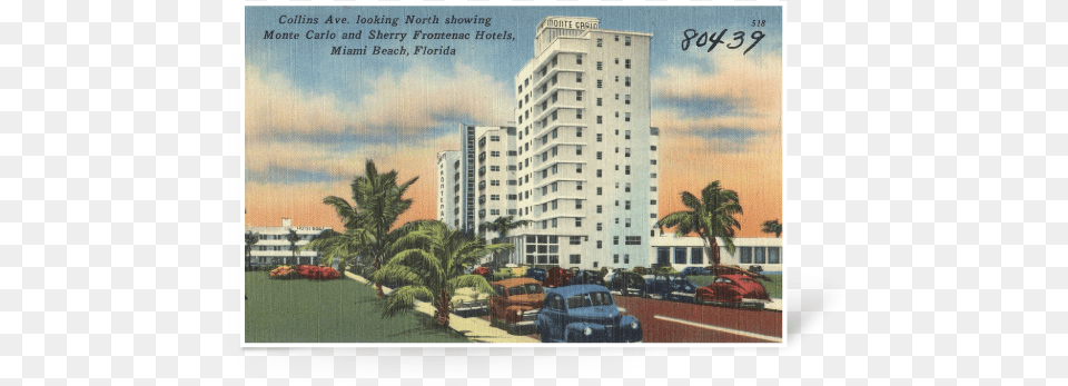 Fisher Brothers Palm Trees, Metropolis, Tree, Housing, Hotel Free Png