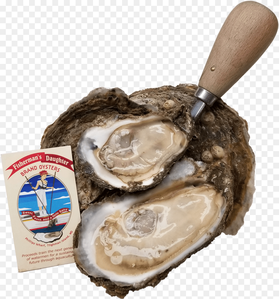 Fishermans Daughter Brand Oysters Tiostrea Chilensis, Food, Seafood, Animal, Sea Life Free Transparent Png