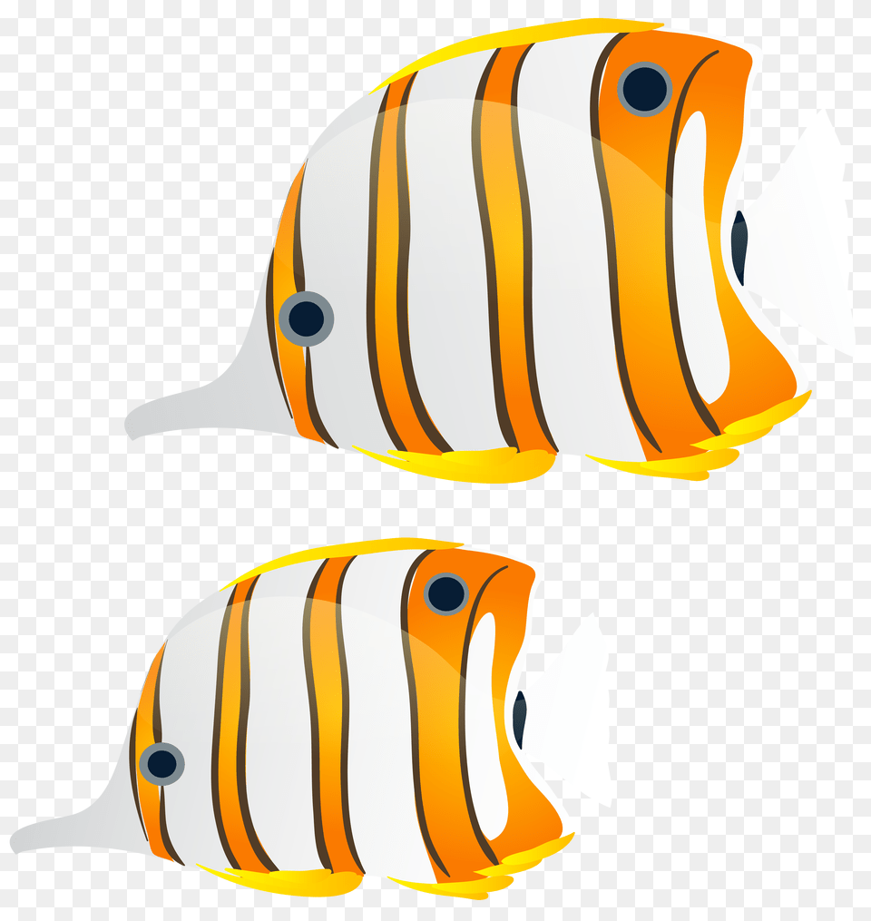 Fishes Clip Art, Angelfish, Animal, Fish, Sea Life Free Transparent Png