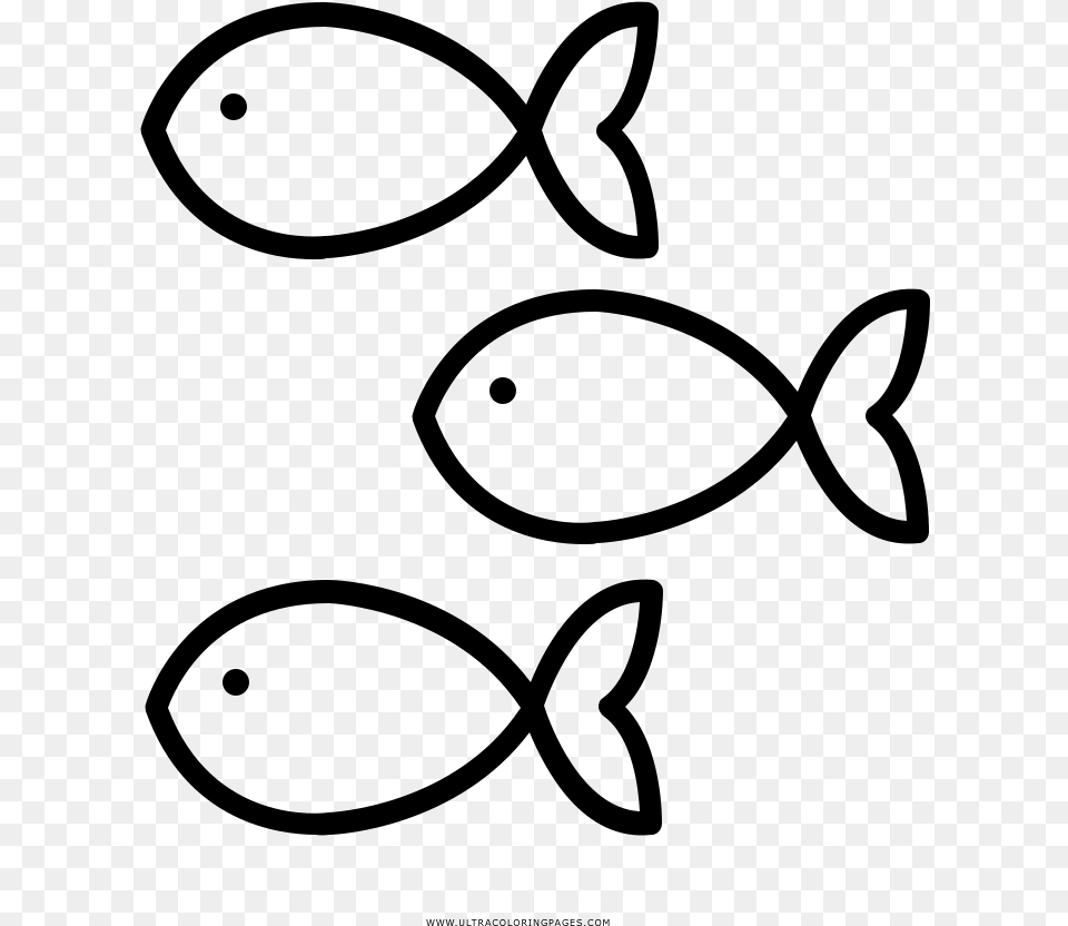 Fishes Coloring, Gray Free Png Download