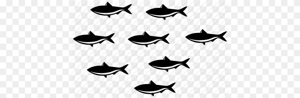 Fishes Many Fish School Of Fish Sea Sealife Team Underwater Icon, Pattern, Cutlery, Home Decor Png