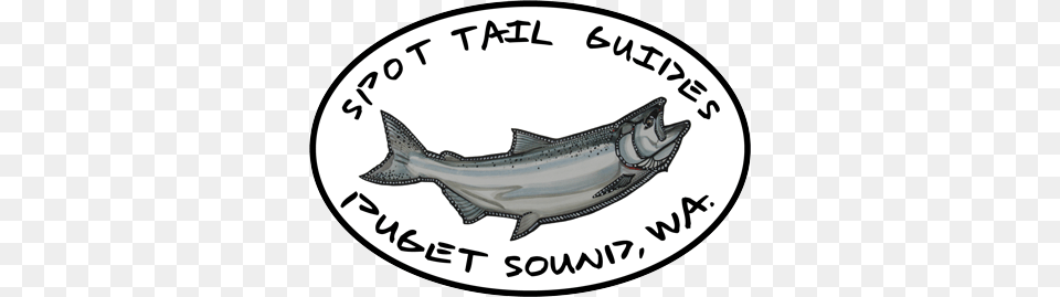 Fishing Blog Local Fishing News A Spot Tail Salmon Guide, Animal, Coho, Fish, Sea Life Free Png