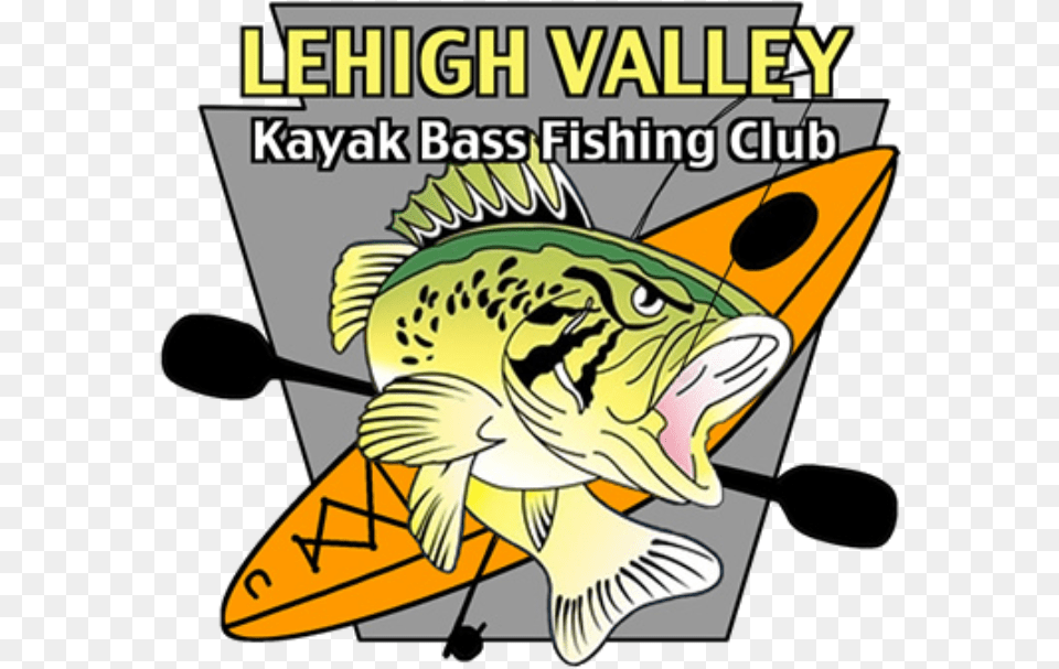 Fishing Club, Angler, Person, Outdoors, Leisure Activities Png Image