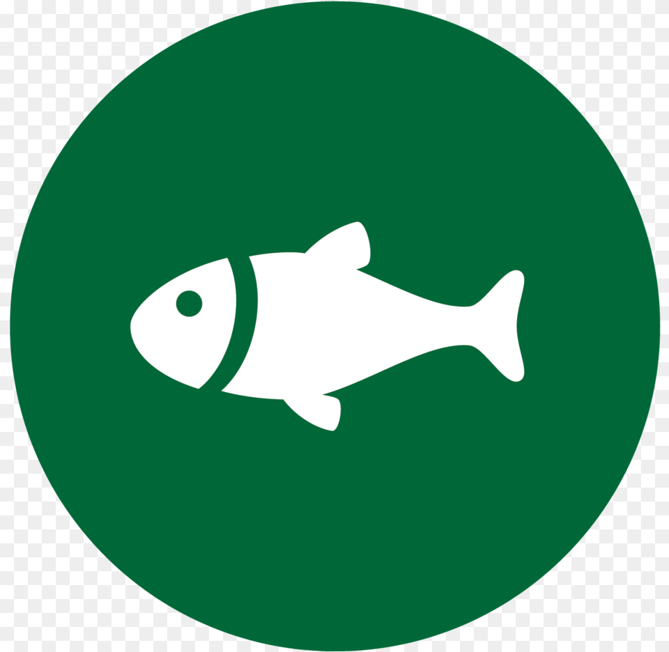 Fishing Icons Fish Sign, Animal, Sea Life, Shark Png Image