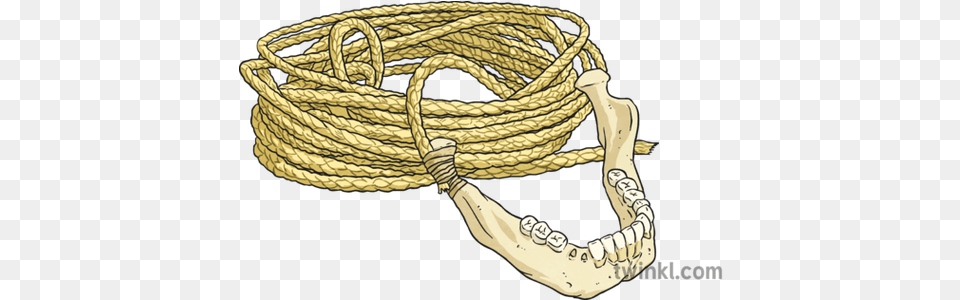 Fishing Line And Jawbone Illustration Solid, Rope, Smoke Pipe Free Transparent Png