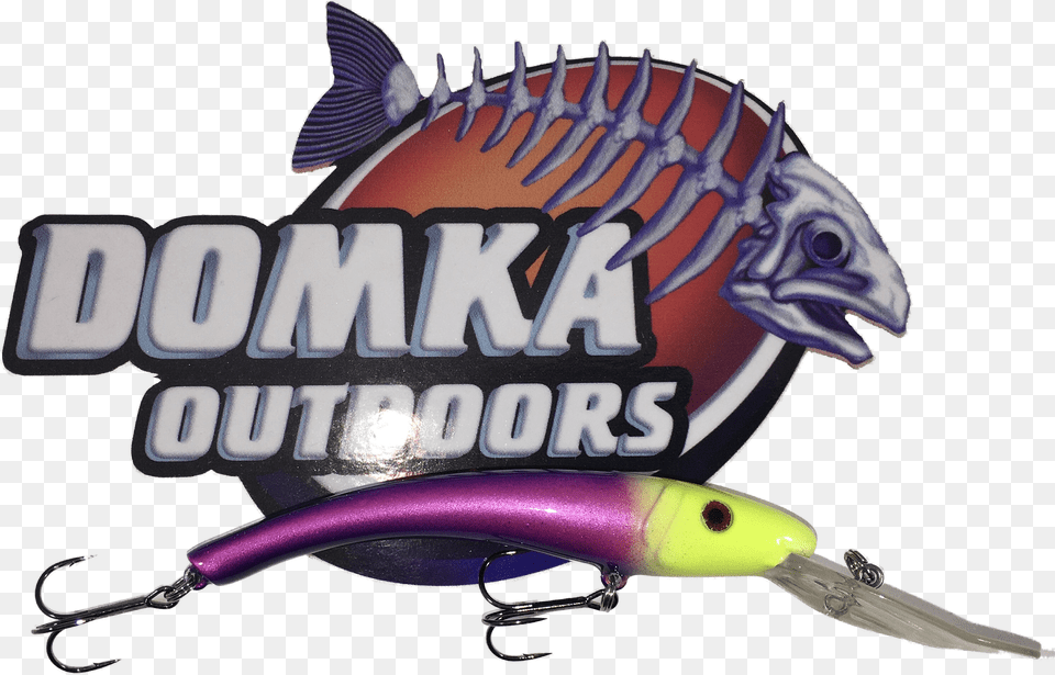 Fishing Lure, Disk, Dvd Free Png