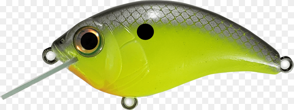 Fishing Lures, Fishing Lure, Animal, Insect, Invertebrate Png