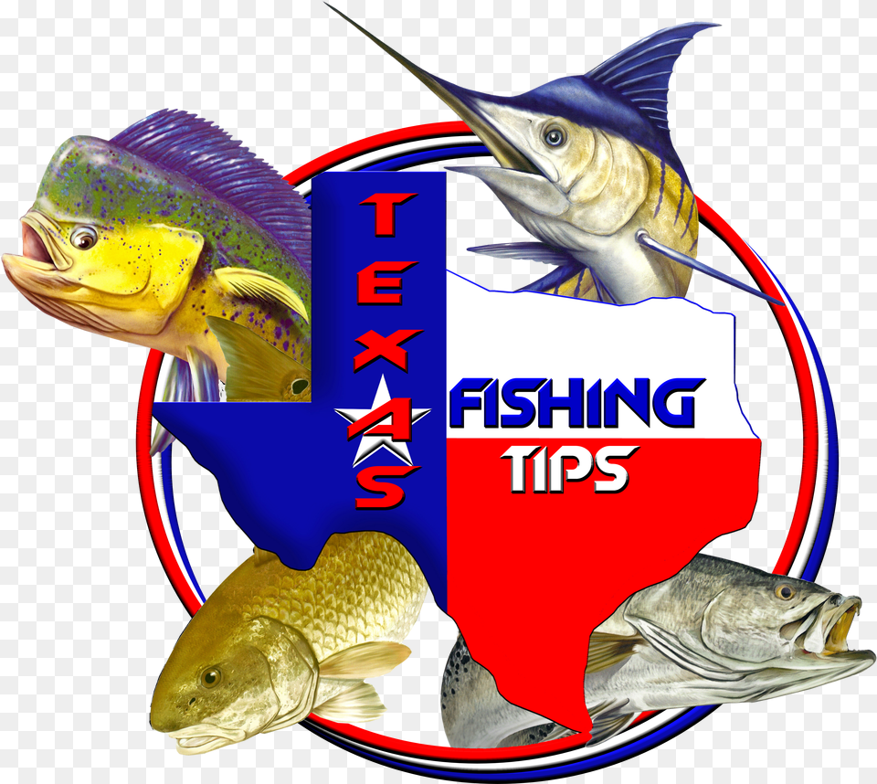 Fishing Maps Corpus Christi Free Transparent Png