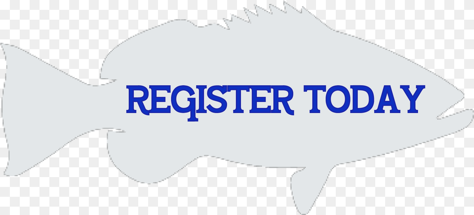 Fishing Rodeo Register Today Icon Icon, Animal, Baby, Person, Sea Life Free Png