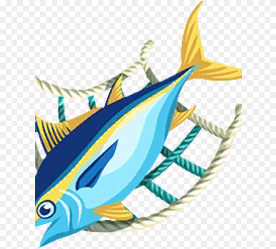 Fishingnet Atlantic Blue Marlin, Animal, Fish, Sea Life, Tuna Free Png