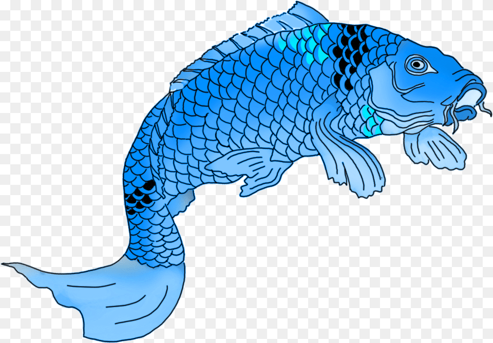 Fishline Artfishclip Artanimal Figuretailgraphics Koi Fish Drawing Colored, Animal, Sea Life, Carp Free Png