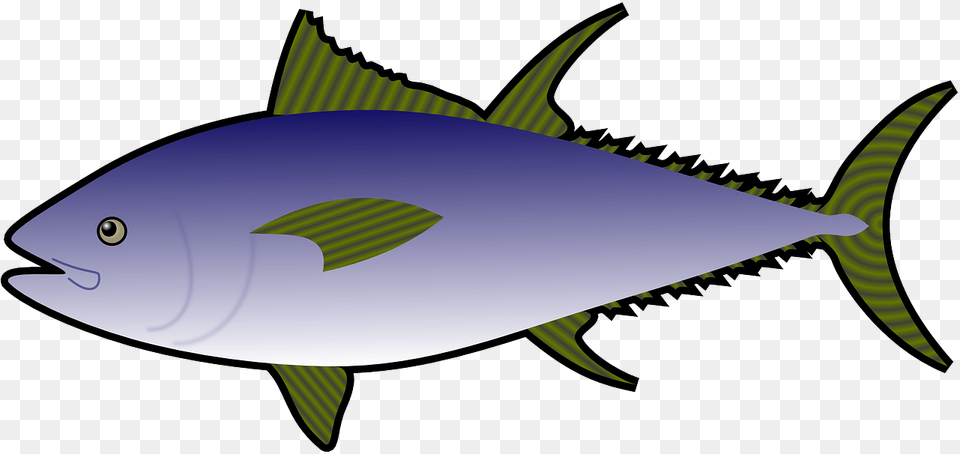 Fishoceansea Lifesea Animalfree Vector Graphicsfree Tuna Fish Clipart, Animal, Bonito, Sea Life Free Png