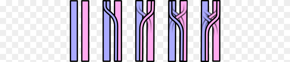Fishtail Braid Technique, Purple, Cutlery, Fork, Art Free Png Download