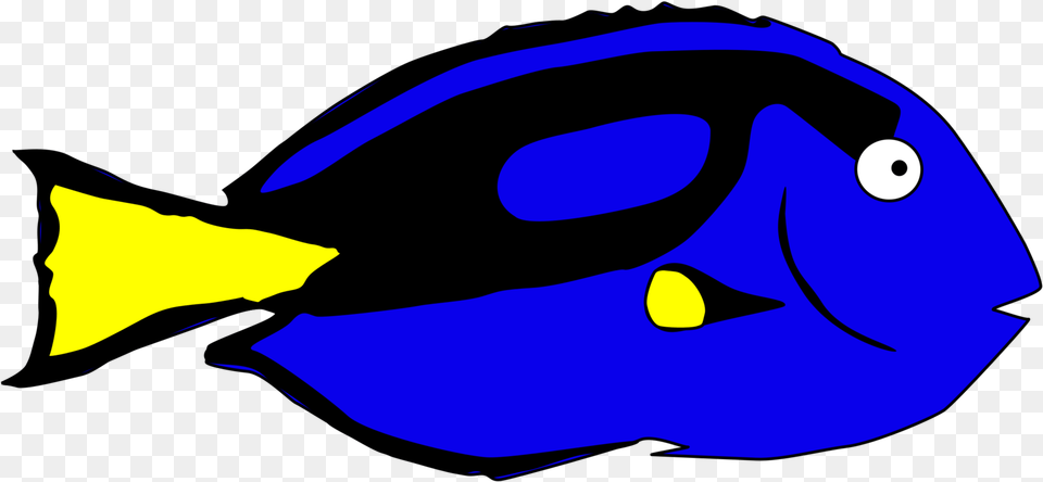 Fishyellowbeak Cartoon Blue Tang, Animal, Fish, Sea Life, Surgeonfish Png