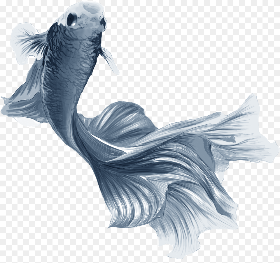 Fishyyy Illustration, Animal, Sea Life, Fish Free Transparent Png