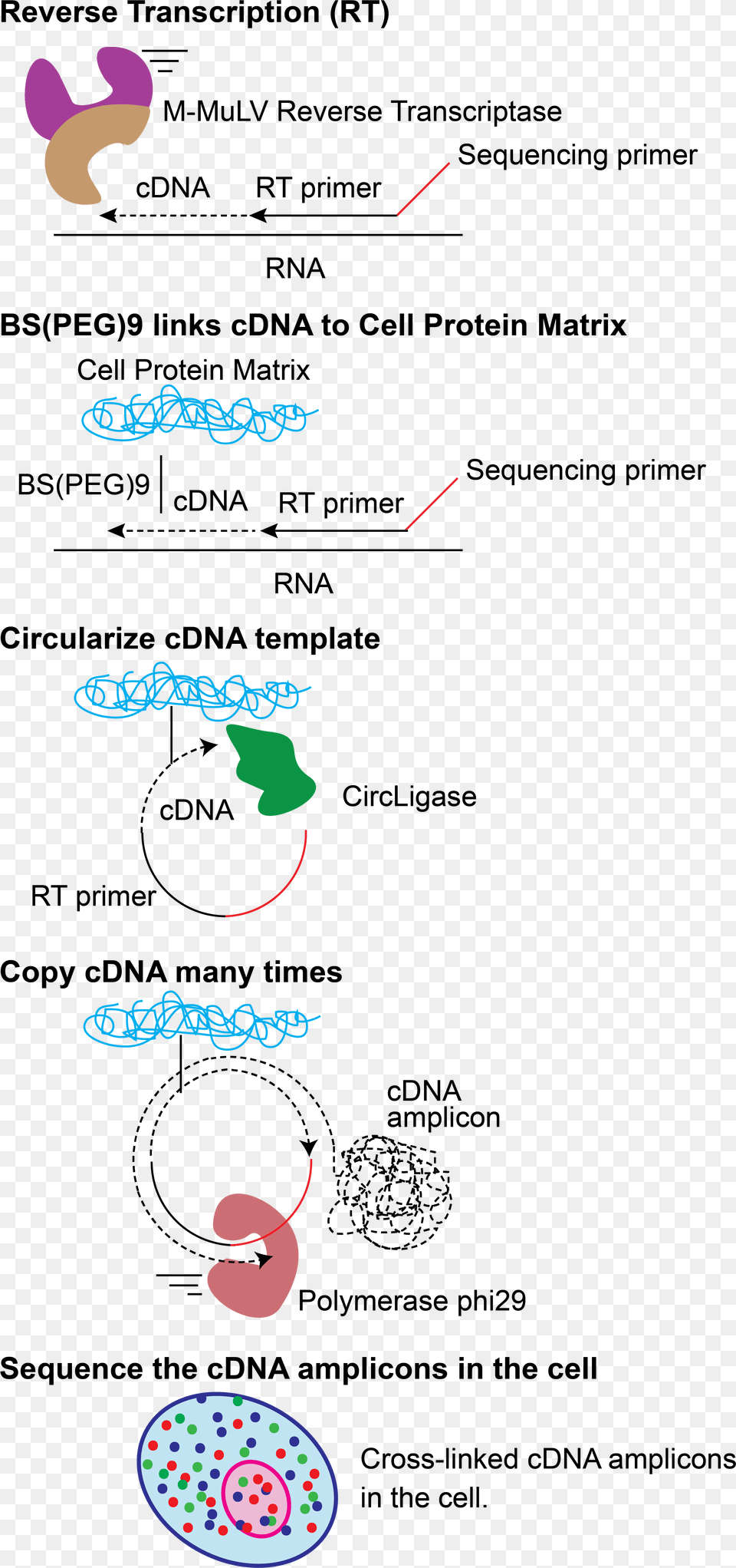 Fisseq Schematic Diagram Free Png Download