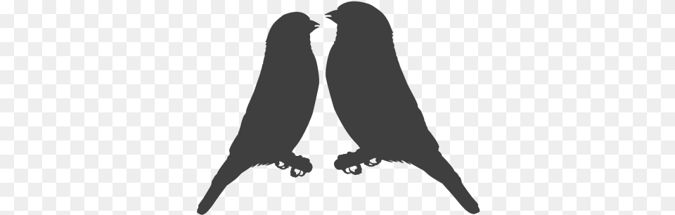 Fitch Love Couple Icons Fish Crow, Adult, Bride, Female, Person Free Transparent Png