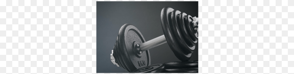 Fitness And Weight Lifting Dumbbell, Gym, Gym Weights, Sport, Working Out Free Png