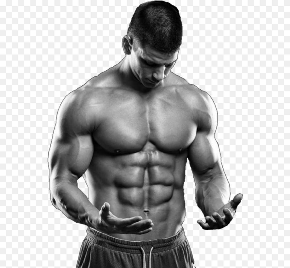 Fitness Body, Adult, Person, Man, Male Png