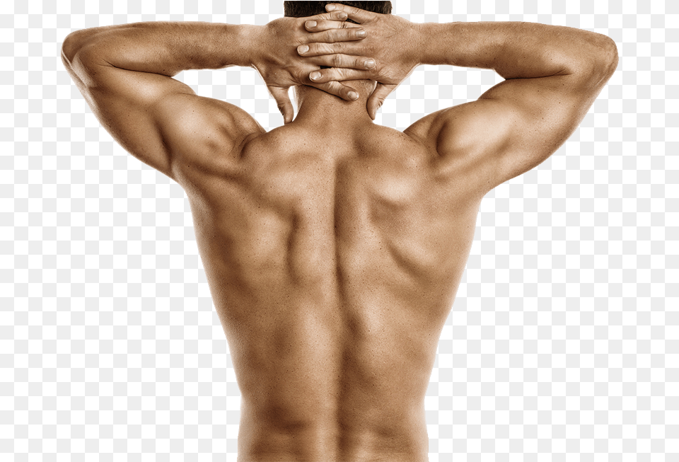 Fitness Hombre Espalda, Back, Body Part, Person, Adult Png