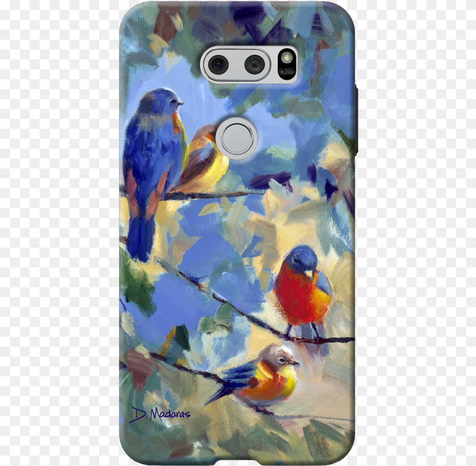 Five Birds Phone Case Madaras Gallery, Animal, Bird, Finch, Camera Free Png Download