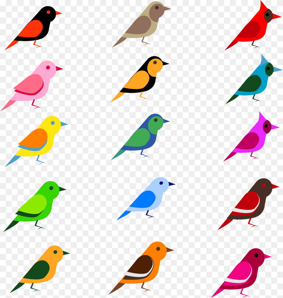 Five Clipart Bird, Animal Free Png