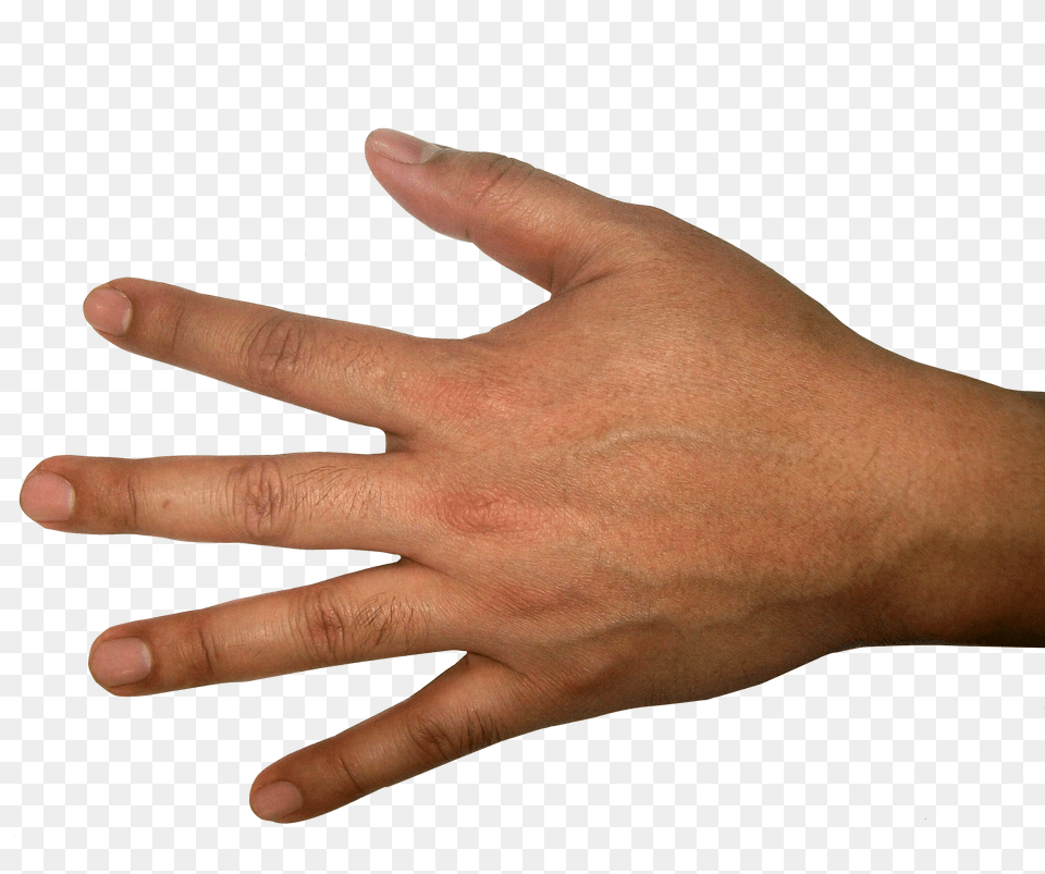 Five Finger Hand Back Of Hand, Body Part, Person, Wrist, Baby Png Image