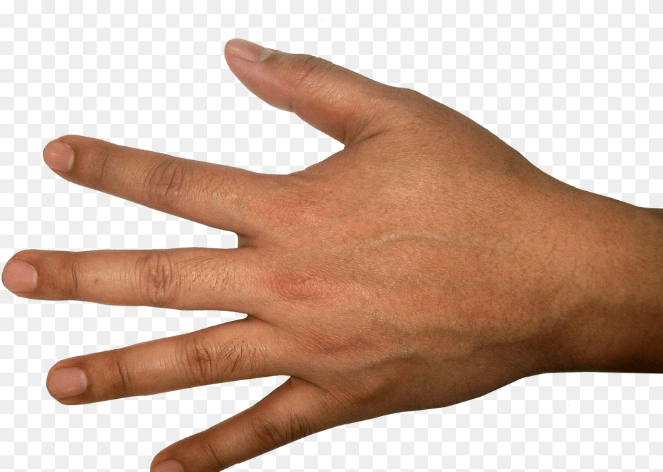 Five Finger Hand Image Purepng Transparent Human Hand Transparent Background, Body Part, Person, Wrist, Baby Free Png Download