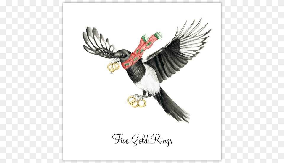 Five Gold Rings Four Calling Birds Three French Hens Gold, Animal, Beak, Bird, Flying Free Png Download