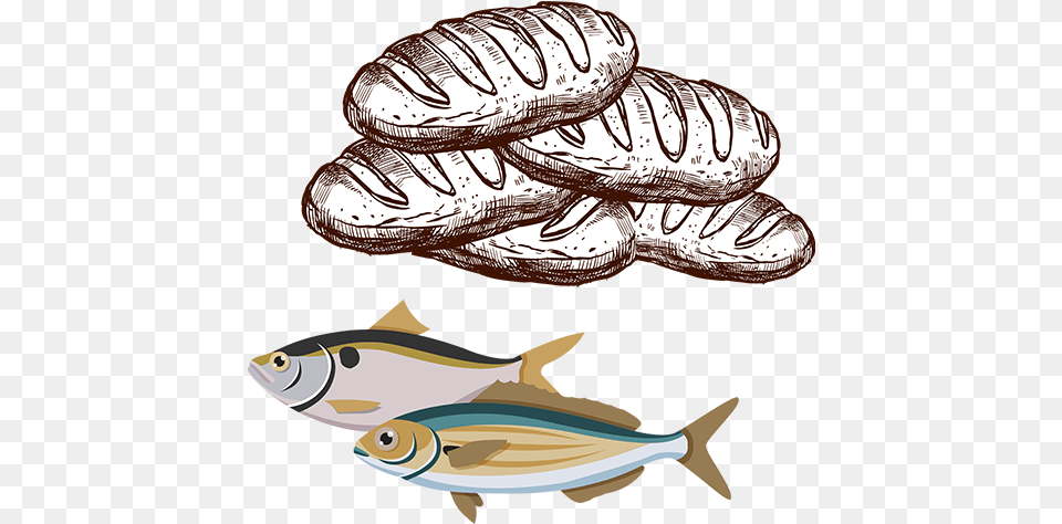 Five Loaves And Two Fish Cartoon, Animal, Sea Life, Tuna, Herring Free Transparent Png