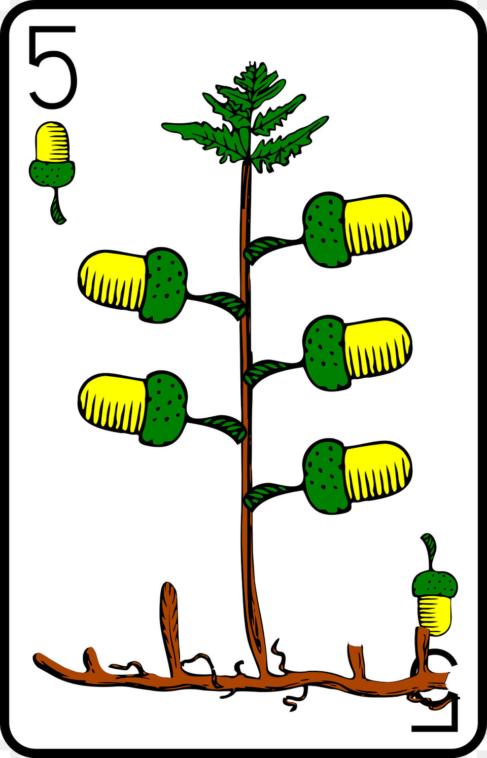 Five Of Acorns Clipart, Herbal, Herbs, Plant, Tree Png