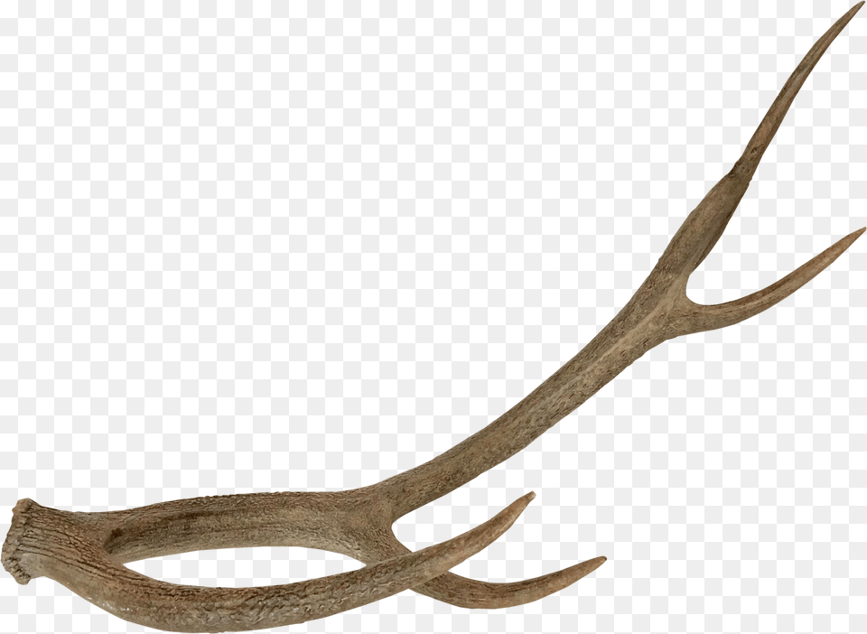 Five Prong Resin Horn Deer Horn, Antler, Blade, Dagger, Knife Png