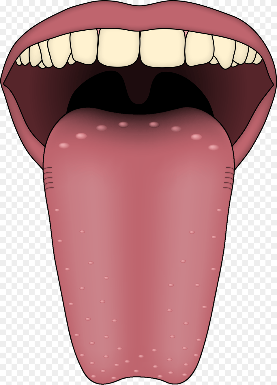 Five Sense Organs Tongue, Body Part, Mouth, Person Free Png Download