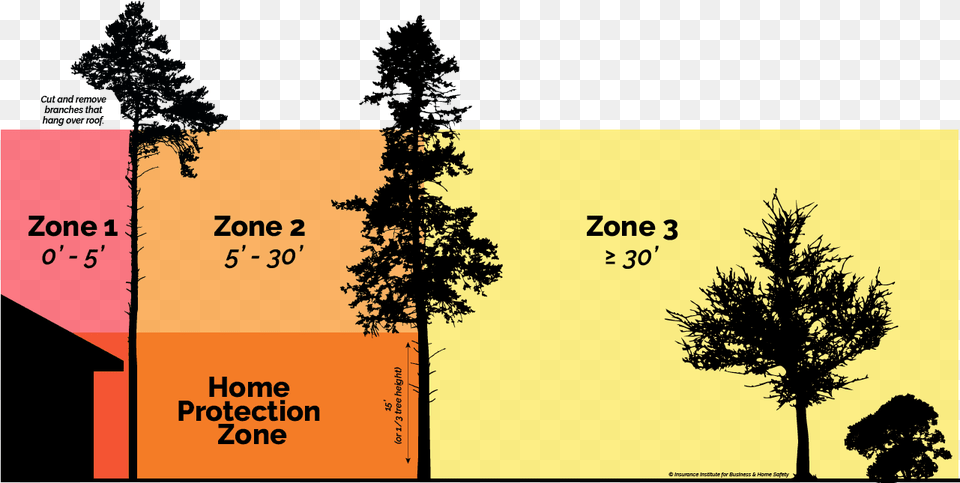 Five Steps To Creating An Effective Defensible Space, Plant, Tree, Conifer, Vegetation Png Image