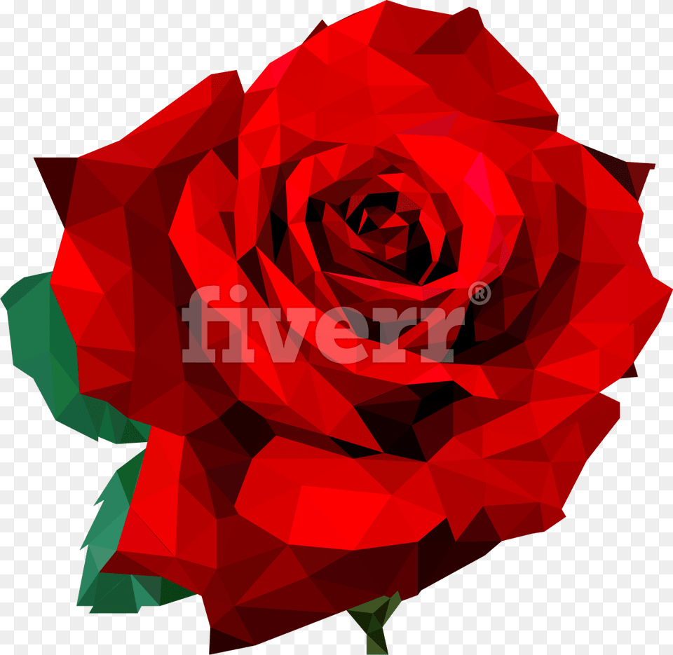 Fiverr, Flower, Plant, Rose, Dynamite Free Transparent Png
