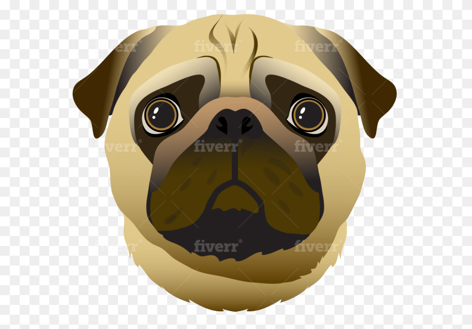 Fiverr, Animal, Canine, Mammal, Pet Png