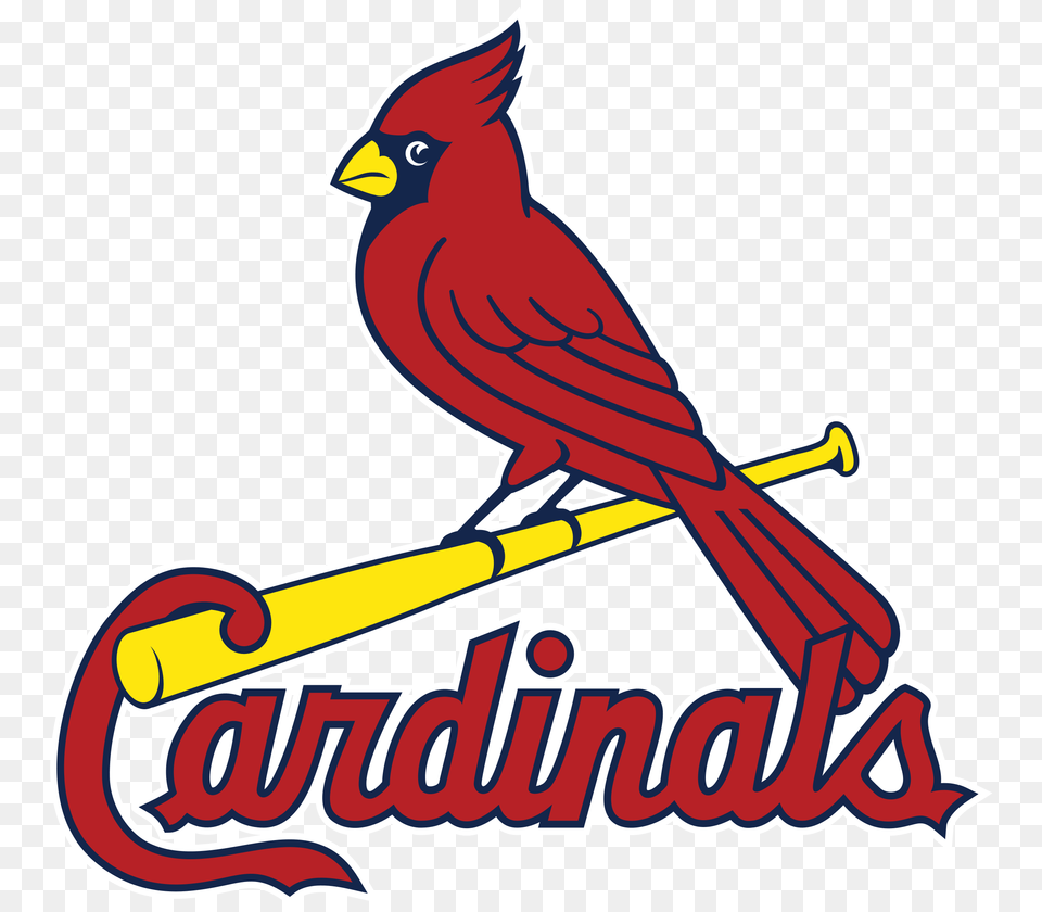 Fix All The Bird Logos In Pro Sports St Louis Cardinals Logo Vector, Animal, Cardinal Png