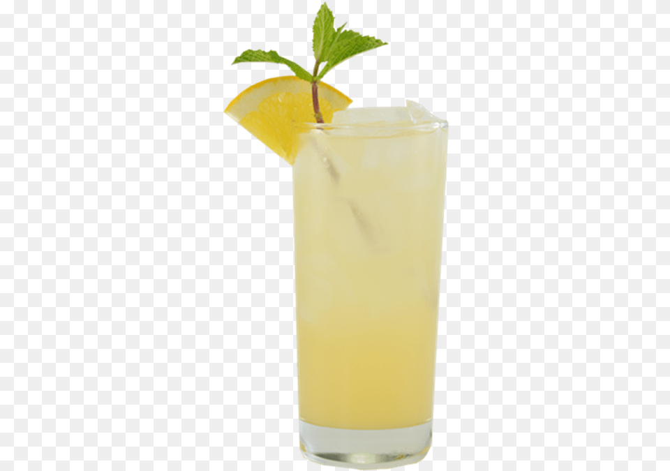 Fizz, Beverage, Lemonade, Herbs, Plant Png Image