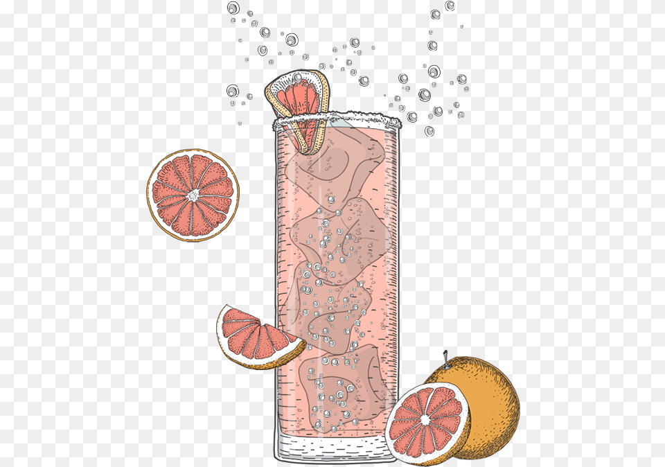 Fizz, Citrus Fruit, Food, Fruit, Grapefruit Png