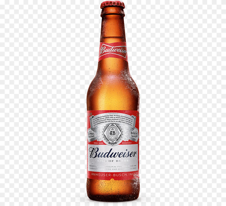 Fl Oz Bottle Download Budweiser, Alcohol, Beer, Beer Bottle, Beverage Png