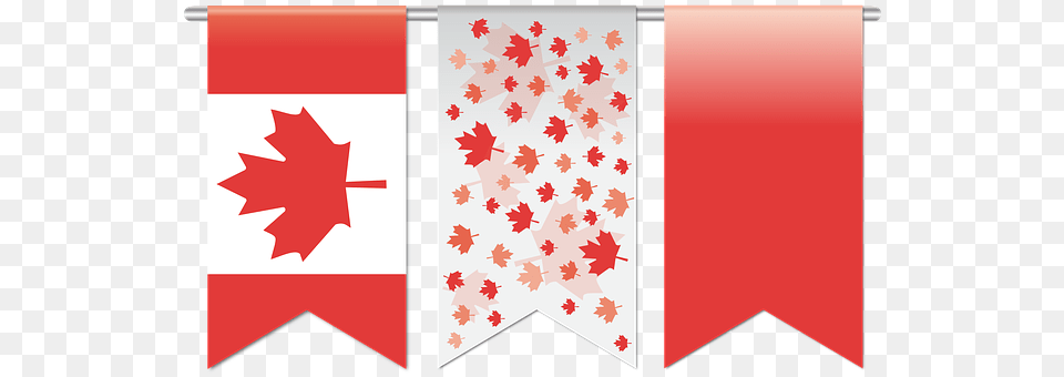 Flag Leaf, Plant Png