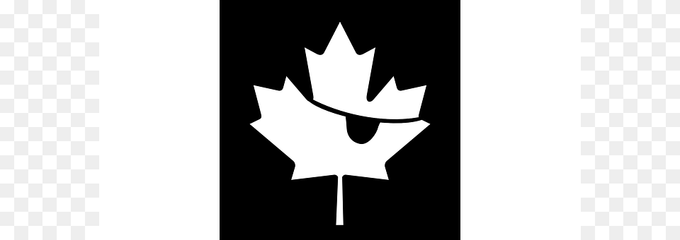 Flag Leaf, Plant, Stencil, Person Free Transparent Png