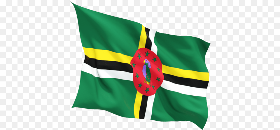 Flag Icon Of Dominica At Format Norway Flag Transparent Background, Person Free Png