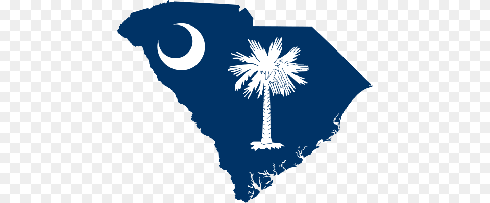 Flag Map Of South Carolina, Outdoors, Tree, Nature, Night Free Transparent Png
