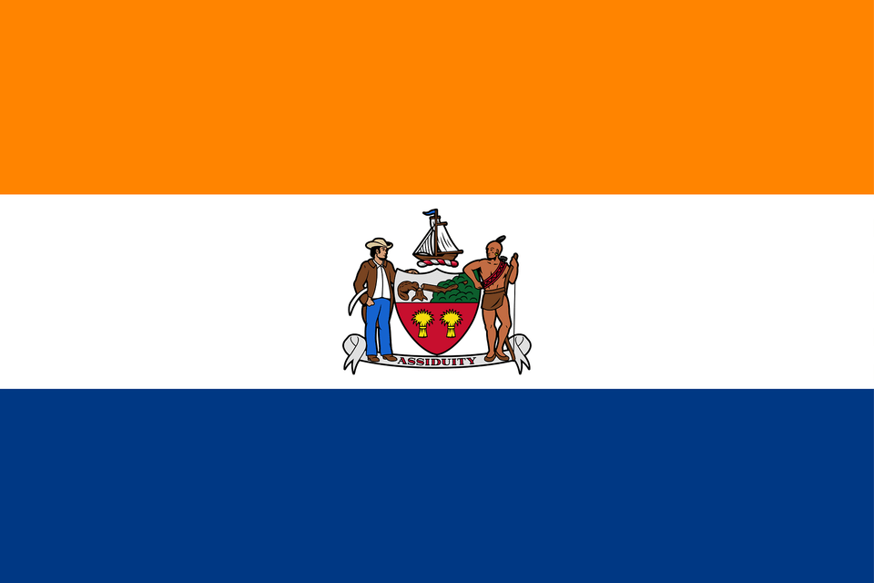 Flag Of Albany New York Clipart, Person Free Png Download