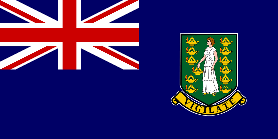 Flag Of British Virgin Islands Clipart, Person, Face, Head Free Png