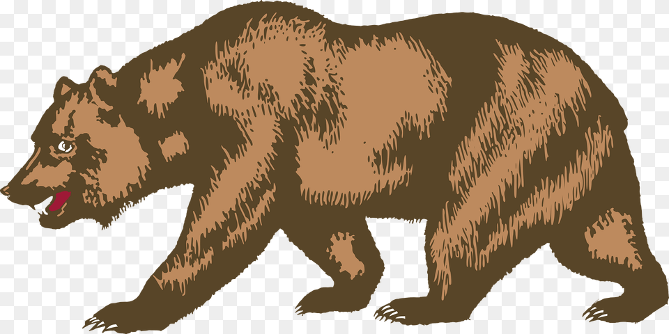 Flag Of California Bear Clipart, Animal, Mammal, Brown Bear, Wildlife Free Png